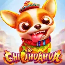 Senha De Login Do Viggoslots